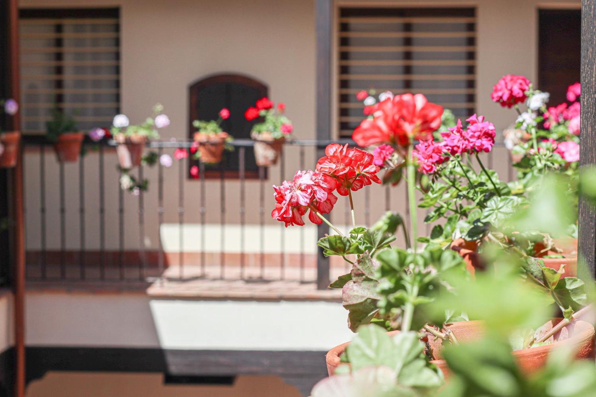 Charming Apt In The Center - 10M Walk Isla Magica 塞维利亚 外观 照片